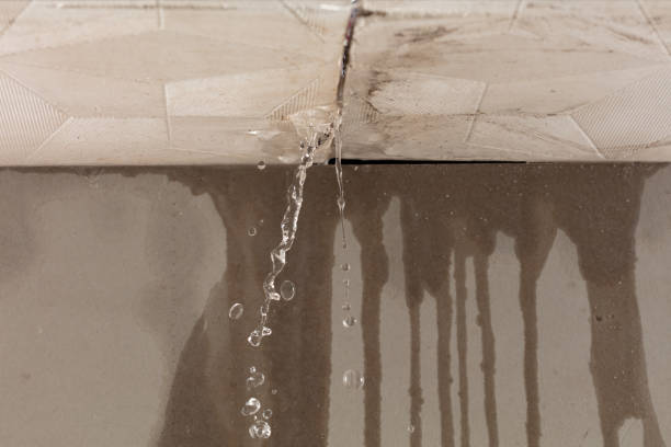 Professional Burst Pipe Cleanup technician working in Elkwood, VA